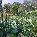 T2 De 34m2 En De Standing A - Piscines - Jardinet - Plein Coeur Du Golfe De St Tropez- Pleine Nature Grimaud