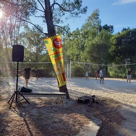 T2 De 34m2 En De Standing A - Piscines - Jardinet - Plein Coeur Du Golfe De St Tropez- Pleine Nature Гримо