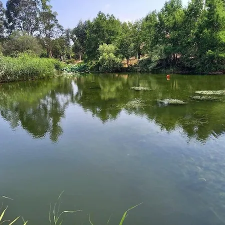 T2 De 34m2 En De Standing A - Piscines - Jardinet - Plein Coeur Du Golfe De St Tropez- Pleine Nature Апартаменты Гримо